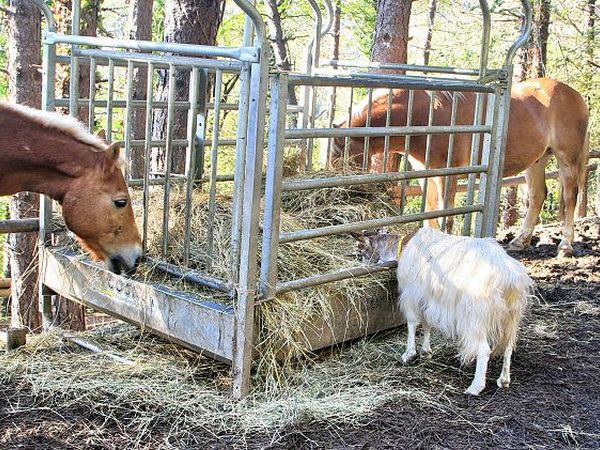 B&B Podere Cerreta - foto 17972.jpg