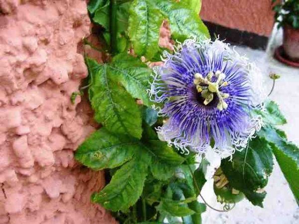 Villaggio Camp Nurral  - foto 4307.jpg