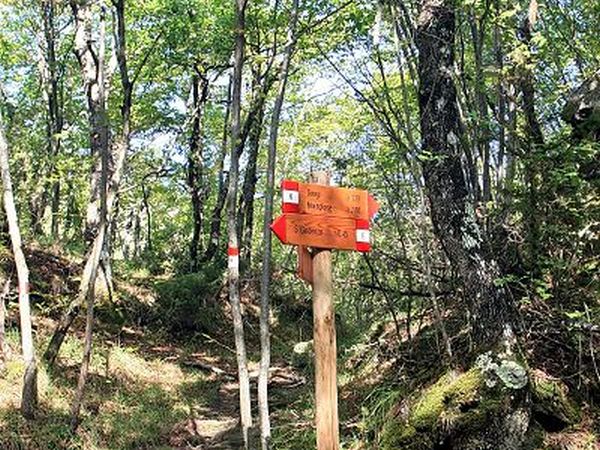 B&B Podere Cerreta - foto 18060.jpg