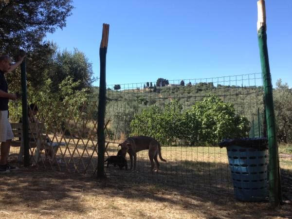 Dolce Vita - foto 18116.jpg