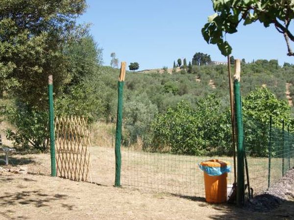 Dolce Vita - foto 18118.jpg