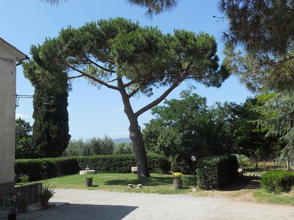 Antichi Palmenti - foto 18185.jpg