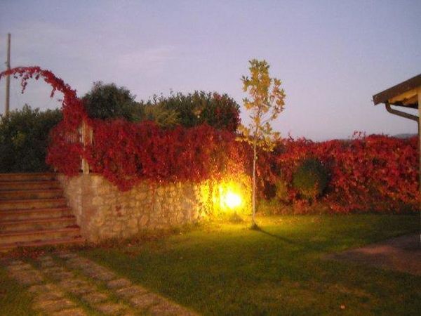 Vecchio Granaio - foto 18313.jpg