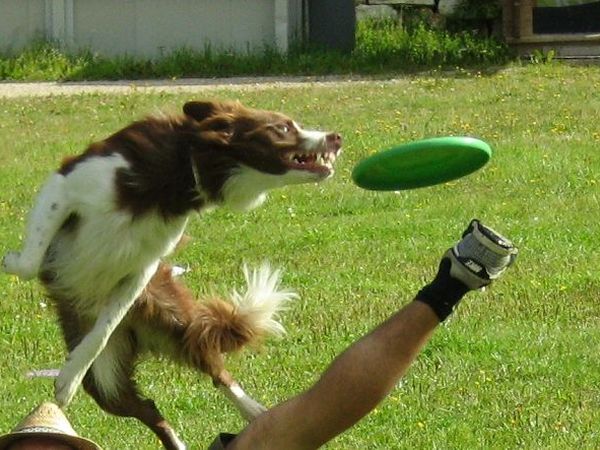 Hotel Cristallo  - foto 18320.jpg