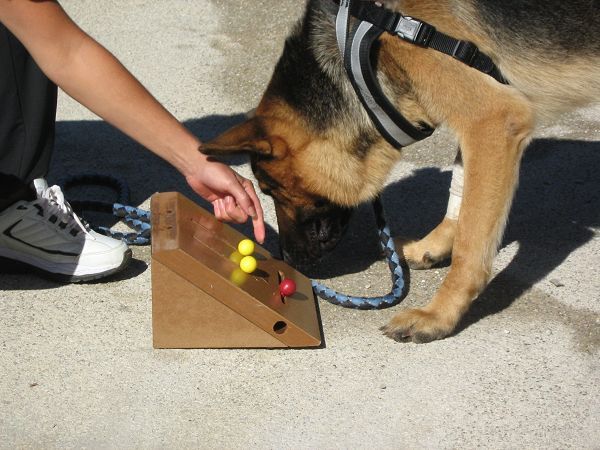 Hotel Cristallo  - foto 18321.jpg