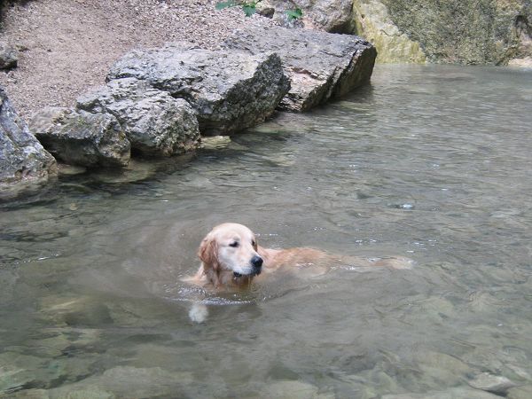 Hotel Cristallo  - foto 18322.jpg