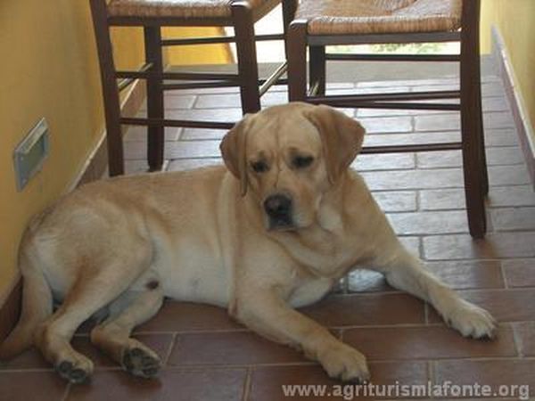 Agriturismo La Fonte - foto 18325.jpg