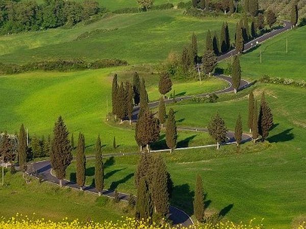 Agriturismo Podere Bello - foto 18346.jpg