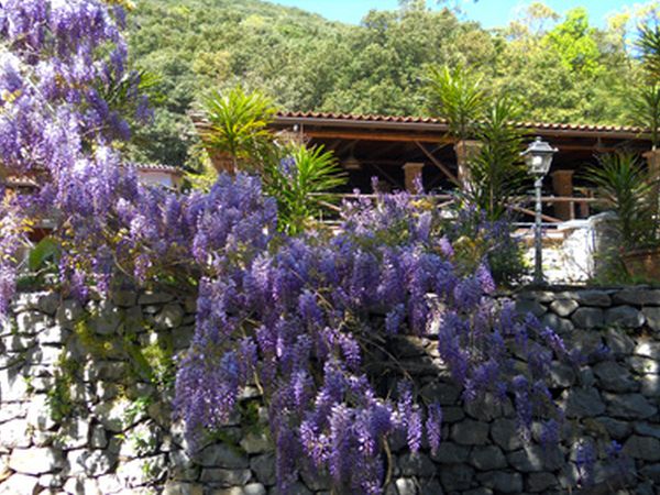 La Francesca Scario Residence - foto 18407.jpg