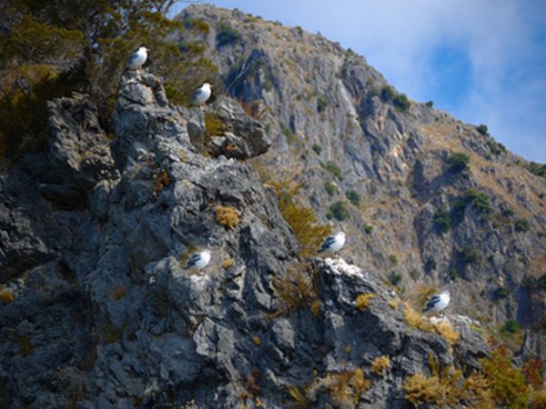 La Francesca Scario Residence - foto 18409.jpg