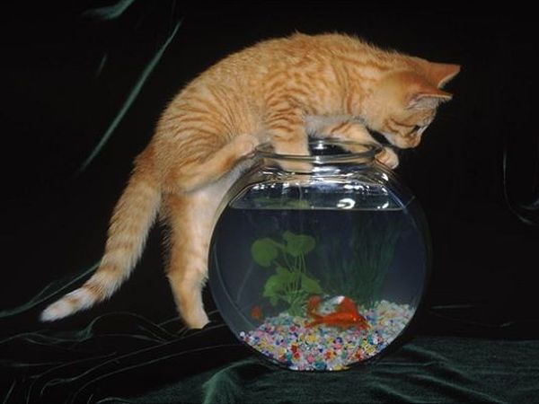 Residence Italia - foto 18512.jpg