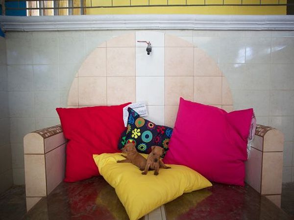 P&B A Casa Mia Pleasure and Breakfast - foto 18552.jpg