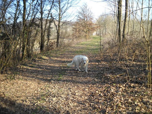 La Scuderia del Conte B&B - foto 4536.jpg