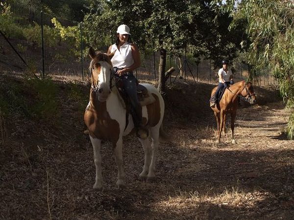 Agriturismo AL POGGETTO - foto 18598.jpg