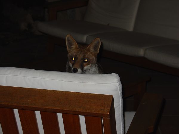 Bagno Santo Hotel - foto 18806.jpg