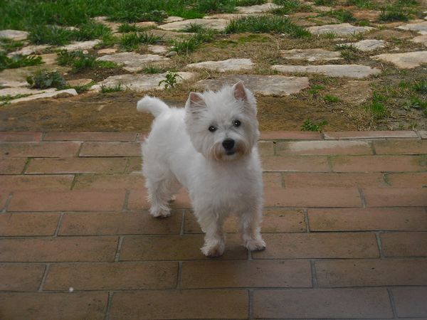 Bagno Santo Hotel - foto 18807.jpg