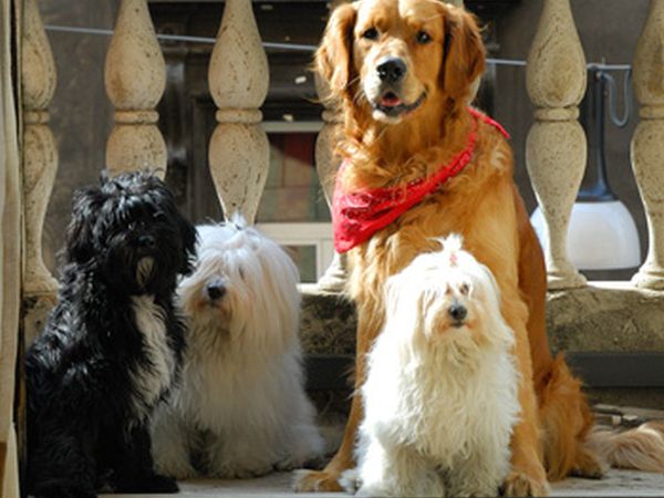 Hotel City - foto 18815.jpg