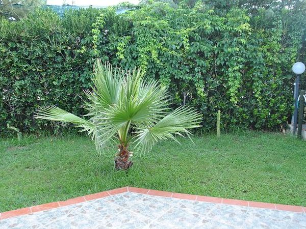 Hotel La Praia - foto 18860.jpg