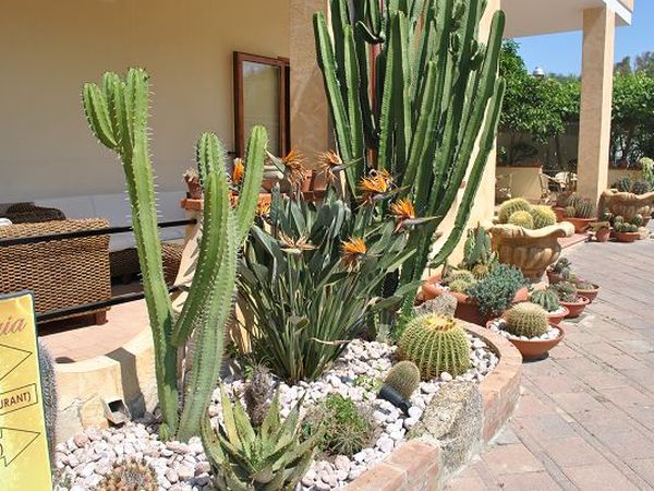 Hotel La Praia - foto 18862.jpg