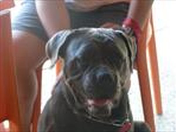 La Spiaggia di Snoopy - foto 18937.jpg