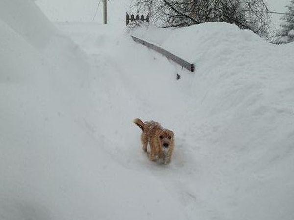 Hotel Mondol - foto 19108.jpg