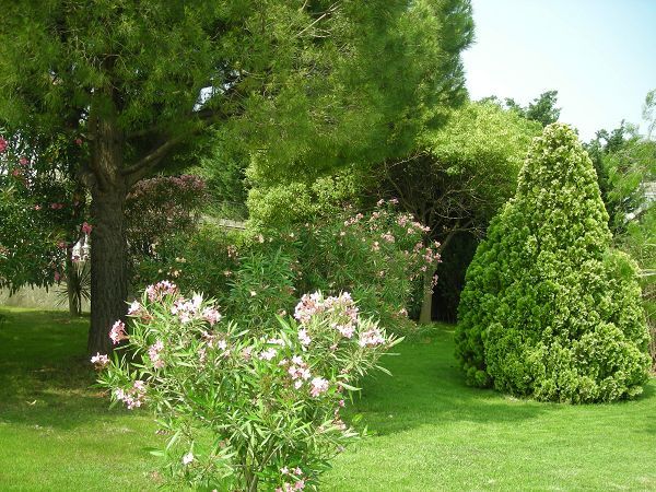 Villa Profumo dei Fiori - foto 19140.jpg