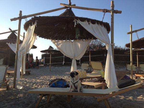 Spiaggia Pascia Glam Beach  - foto 19246.jpg