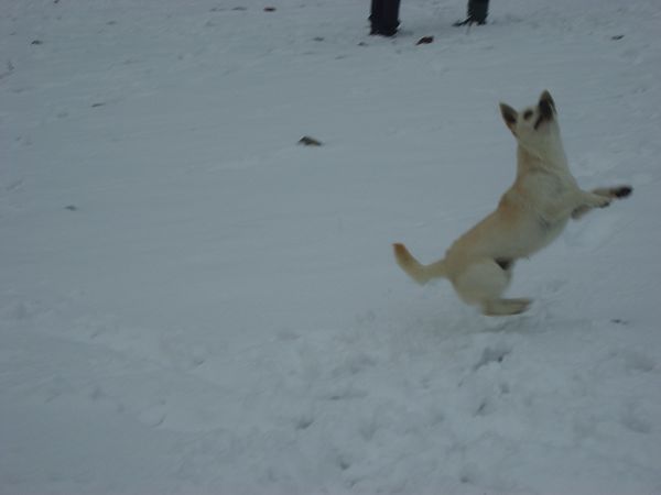 Agriturismo Su Bistentu - foto 19368.jpg
