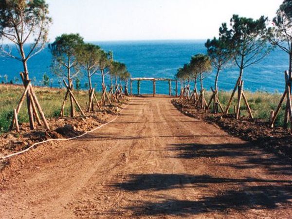 Hotel La Playa - foto 19464.jpg
