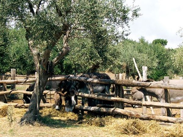 Hotel La Playa - foto 19472.jpg