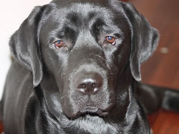 Agriturismo Domus Santa Croce - foto 19537.jpg