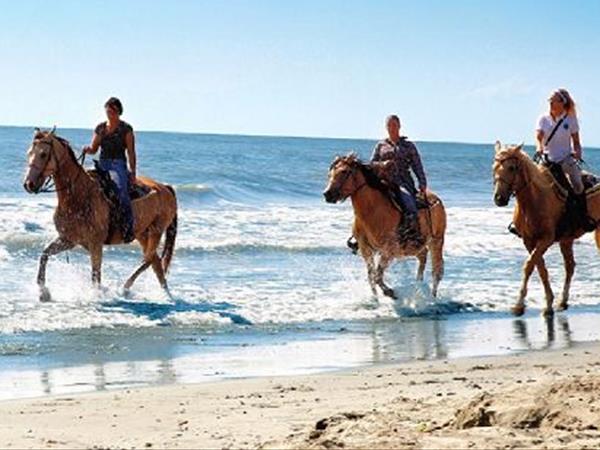 Barricata Holiday Village - foto 19540.jpg