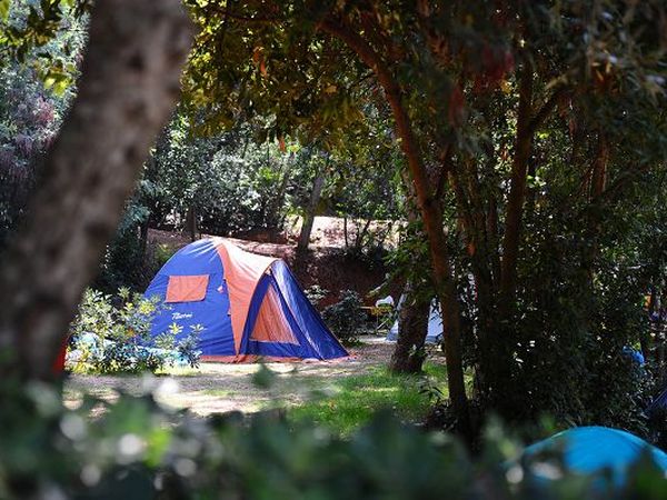 Rosselba le Palme - foto 19729.jpg