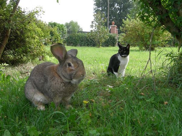 Casa Di Arola - foto 5009.jpg