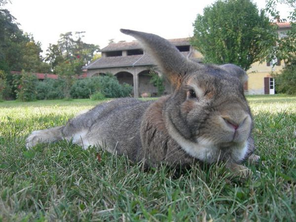 Casa Di Arola - foto 5010.jpg