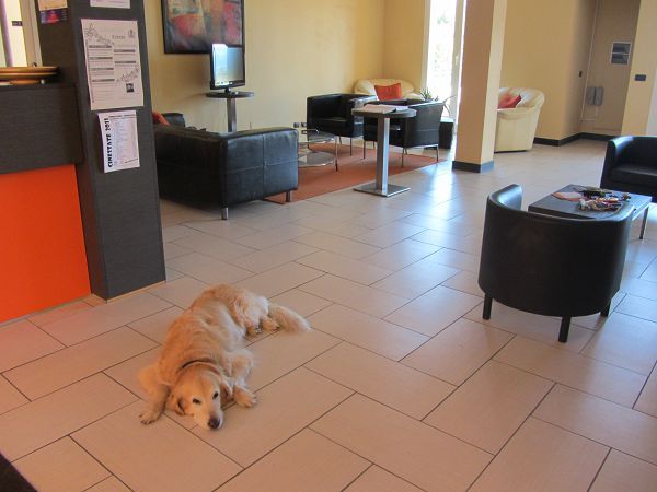 Residence Villa Beuca - foto 19792.jpg