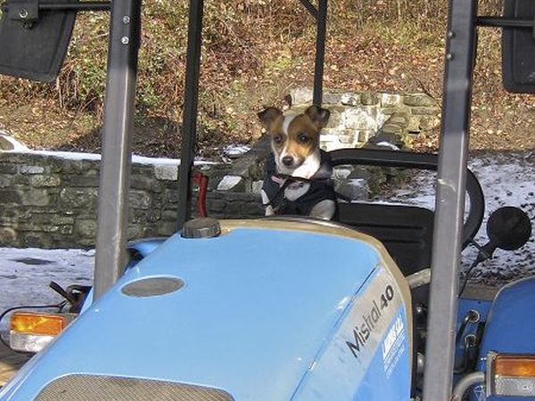 Agriturismo Ca bianca - foto 19968.jpg