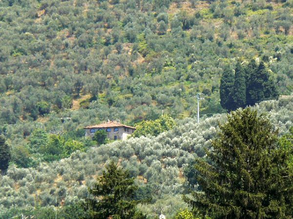 Collerosso Casa Vacanze - foto 5095.jpg