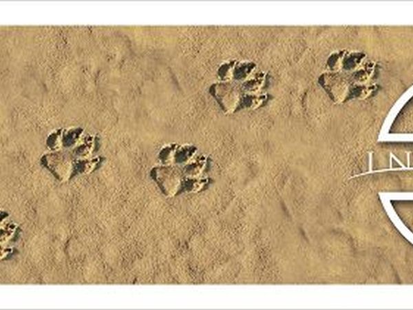 InDiga for Dog - foto 20179.jpg