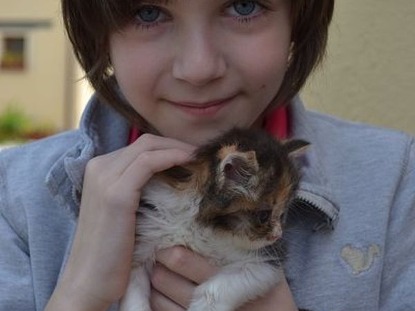 Agriturismo Collina Dei Fagiani  - foto 20183.jpg