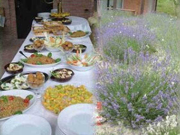 Agriturismo il Poggiolo - foto 5168.jpg