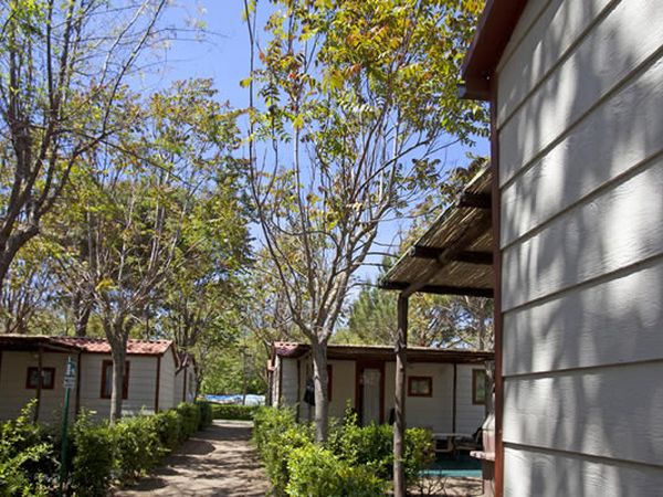 Il Campeggio di Capalbio - foto 20377.jpg