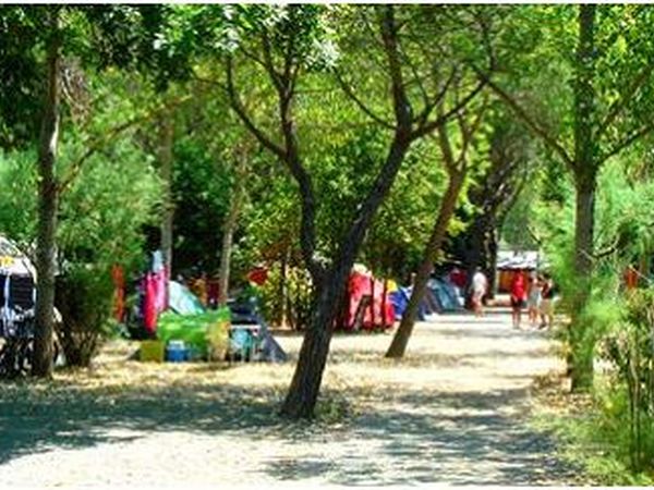 Le Tamerici Camping Village - foto 20394.jpg