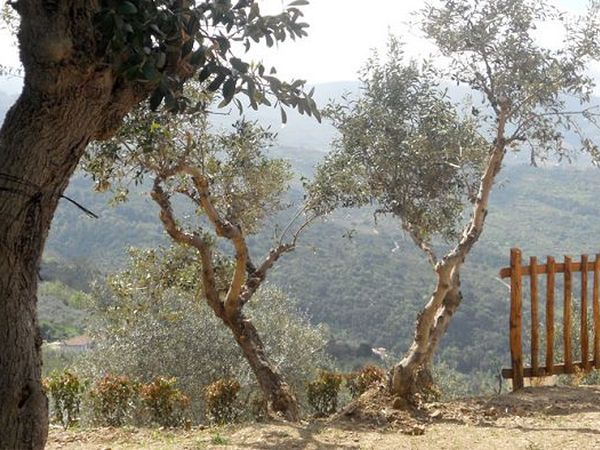 Casale il Gheppio - foto 20430.jpg