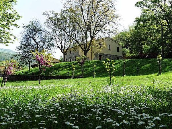 Agriturismo La Ferraia - foto 20444.jpg