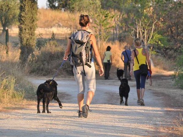 Agriturismo Il Molinello - foto 20489.jpg