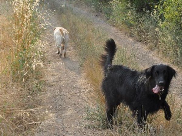 Agriturismo Il Molinello - foto 20513.jpg