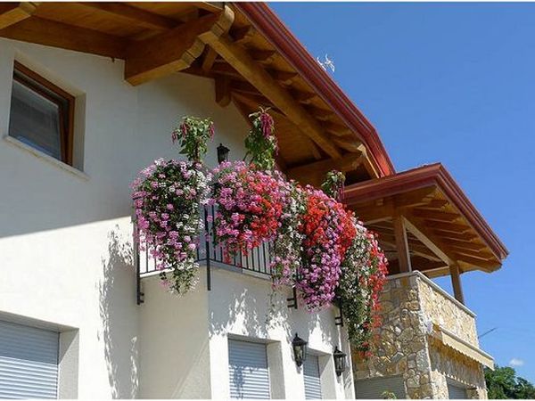 Agritur Vista Lago - foto 20594.jpg