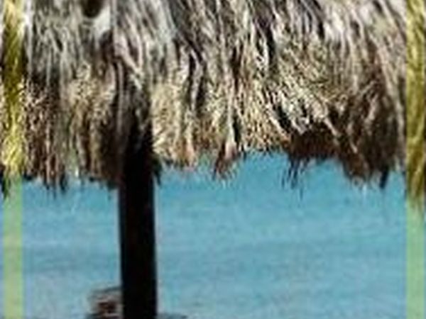 Villaggio Turistico Europeo - foto 20625.jpg