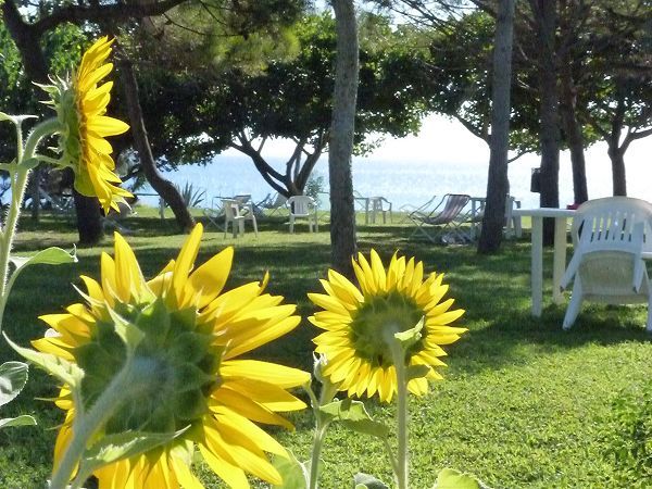 La Torre di SantAntonio - foto 20700.jpg